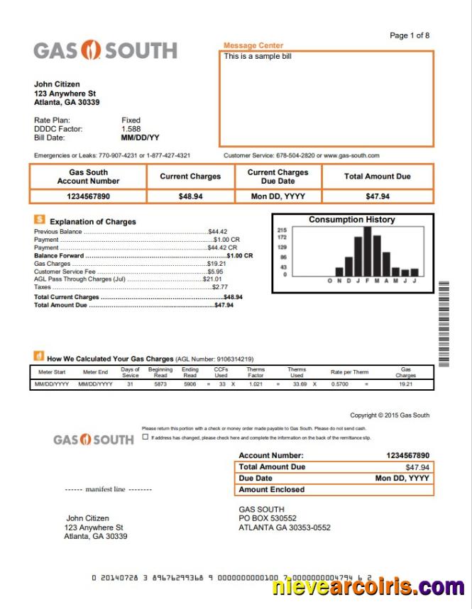 USA New York Gas South utility bill